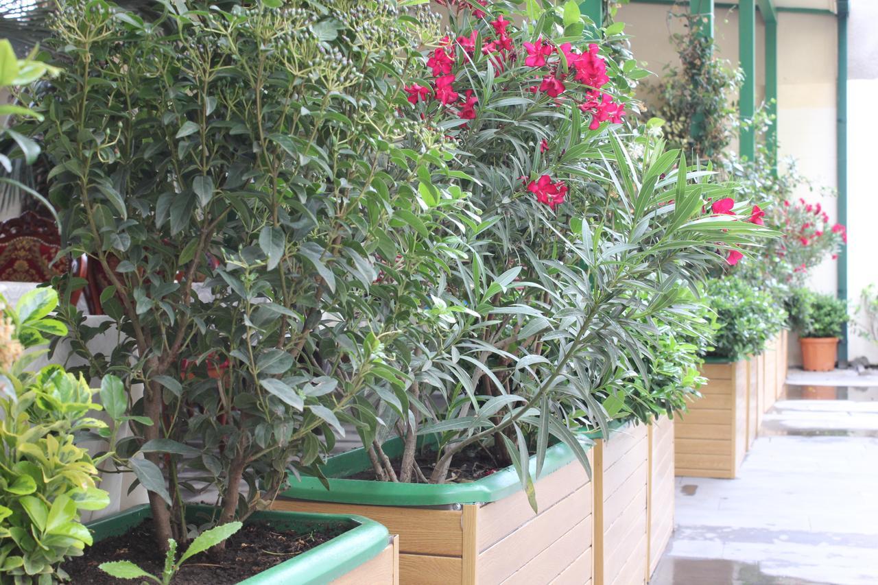 Vedzisi Garden Hotel Tbilisi Luaran gambar